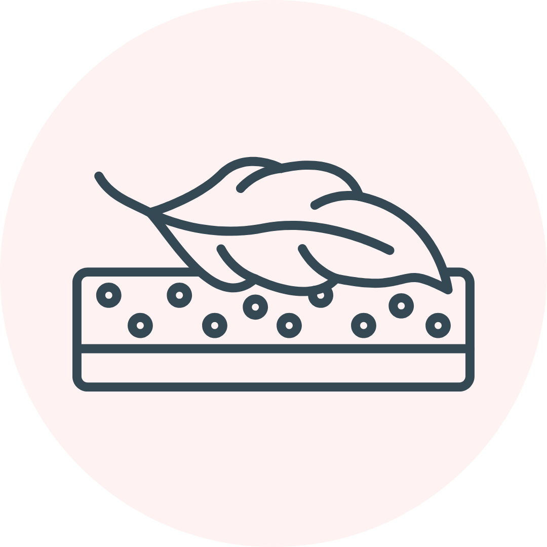 Alt Image